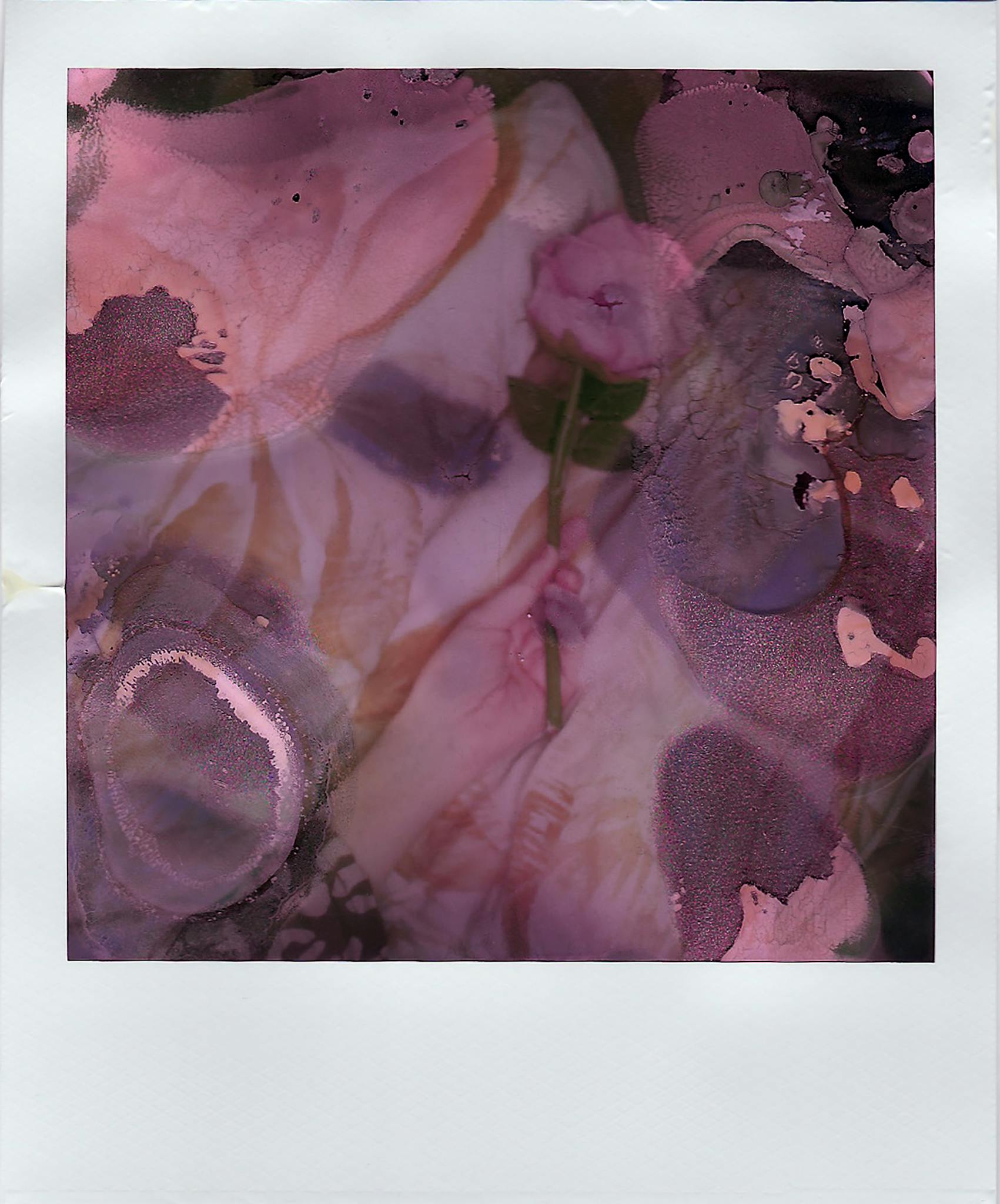 A vibrant abstract image featuring a flower with watercolor-like textures and colors.