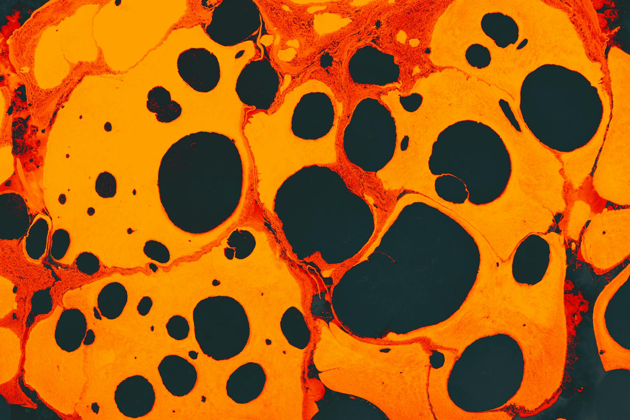 Dynamic abstract image of marbled patterns with vibrant orange and black colors, resembling cells and creativity.